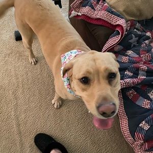 Meet your Posher, Belinda